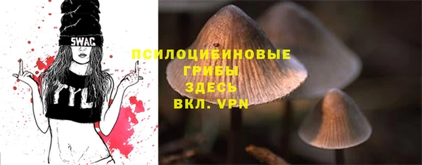 гидропоника Нефтегорск