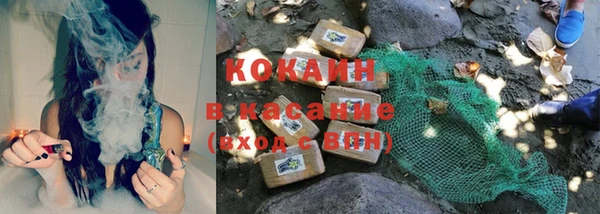крисы Нея