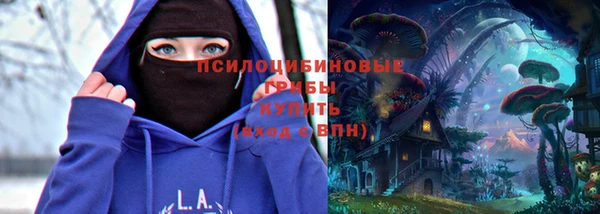крисы Нея